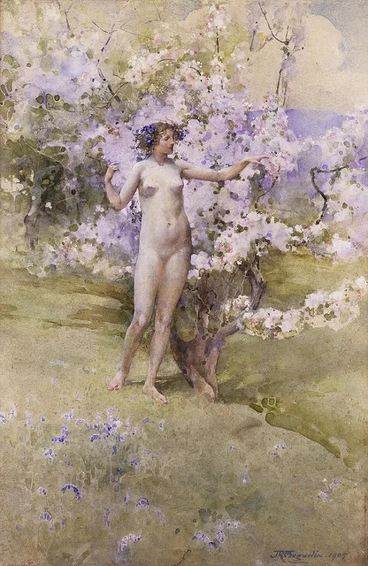 Fiore di Ciliegio 1905